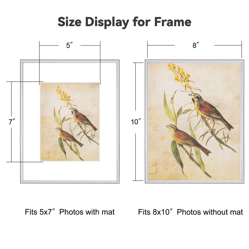 Fkvat 8x10 Picture Frame, Silver Modern Aluminum Metal Photo Frame with HD Glass, Fits 5x7 with Mat or 8 x 10 without Mat, for Tabletop and Wall Mounting, 1 Pack - Image 2